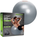 Exercise Ball - Professional Grade With Pump - IBF 