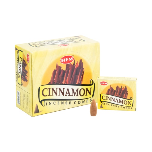 [8901810490239] Incense Cones - Cinnamon - HEM