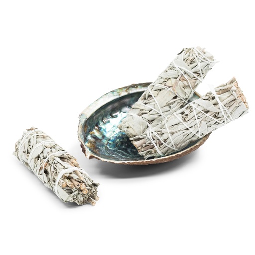 [638872917272] Smudging Set - Abalone Shell approx 5.5in/14cm and 3 Small White Sage Wands - Yogavni