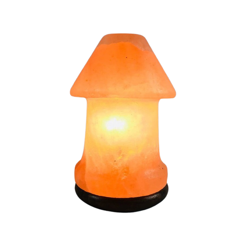 [638872917432] Himalayan Salt Lamp - Desktop - 1pc - Yogavni 