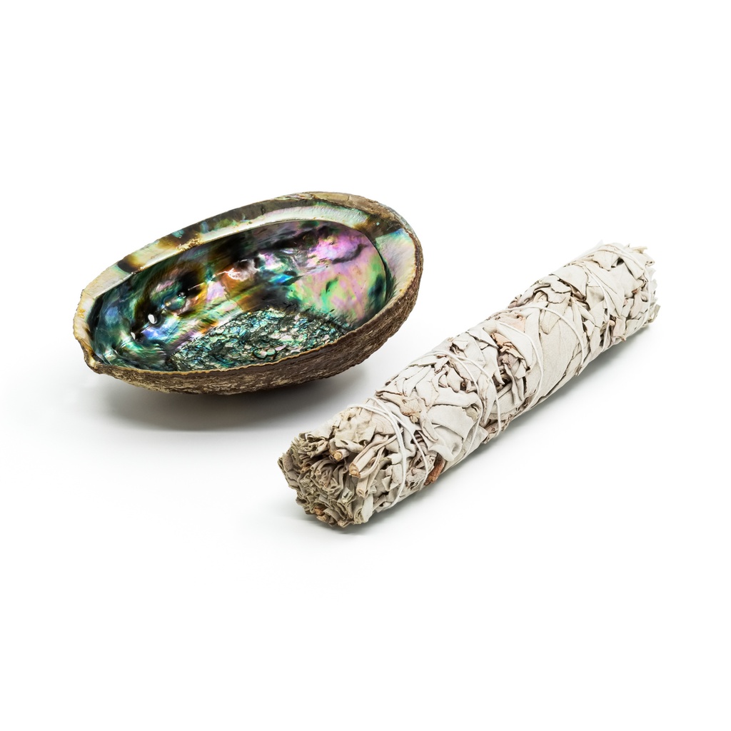 Smudging Set - Abalone Shell approx 5.5in/14cm and 1 Large White Sage Wand - 1pc - Yogavni