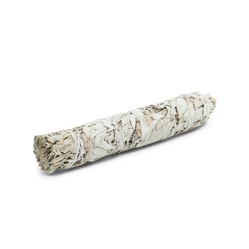 [638872911829] White Sage - Wand Large - 9in/23cm - 1pc - Yogavni