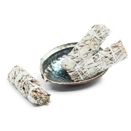 [638872917272] Smudging Set - Abalone Shell approx 5.5in/14cm and 3 Small White Sage Wands - Yogavni