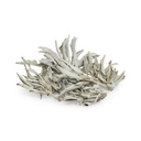 White Sage - Leaves 1oz/30gr - 1pc - Yogavni