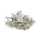 White Sage - Leaves 5oz/150gr - 1pc - Yogavni